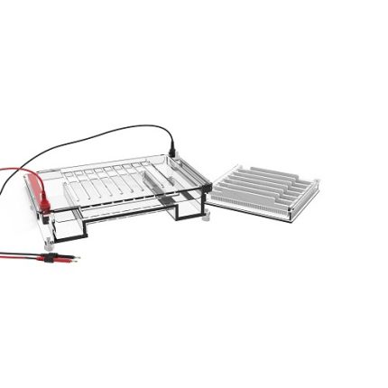 cellule d'électrophorèse horizontale à haut débit