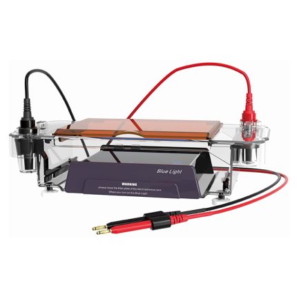 cellule d'électrophorèse horizontale avec illuminateur à lumière bleue