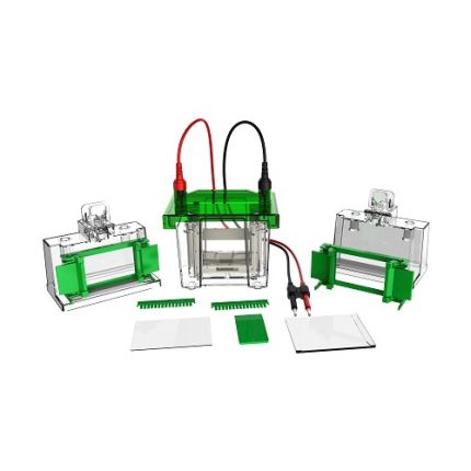mini cellule d'électrophorèse verticale